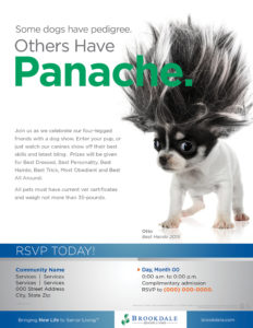 Community Social event flyer - Dog Show - Otto
